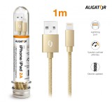 Datový kabel ALIGATOR TUBA 2A, iPhone lightning, zlatá