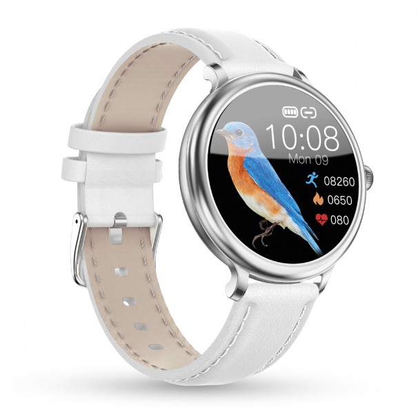 Chytré hodinky Aligator Watch Grace (M4), stříbrné