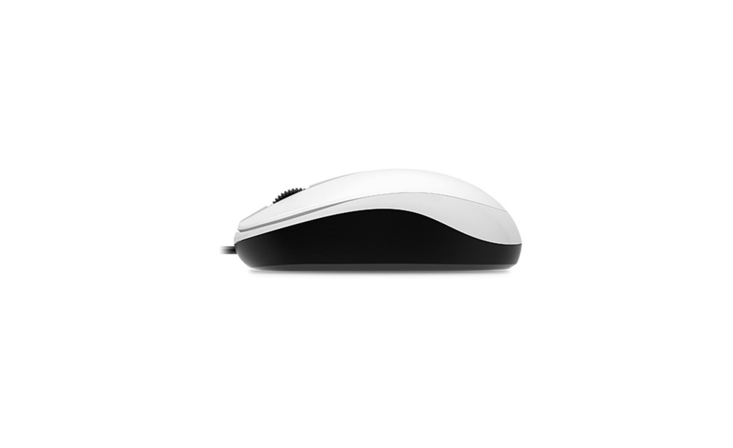 Genius DX-120 /Optická/1200 DPI/Drátová/USB/ bílá