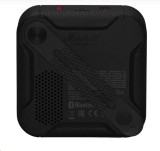 Marshall WILLEN II - BLACK & BRASS