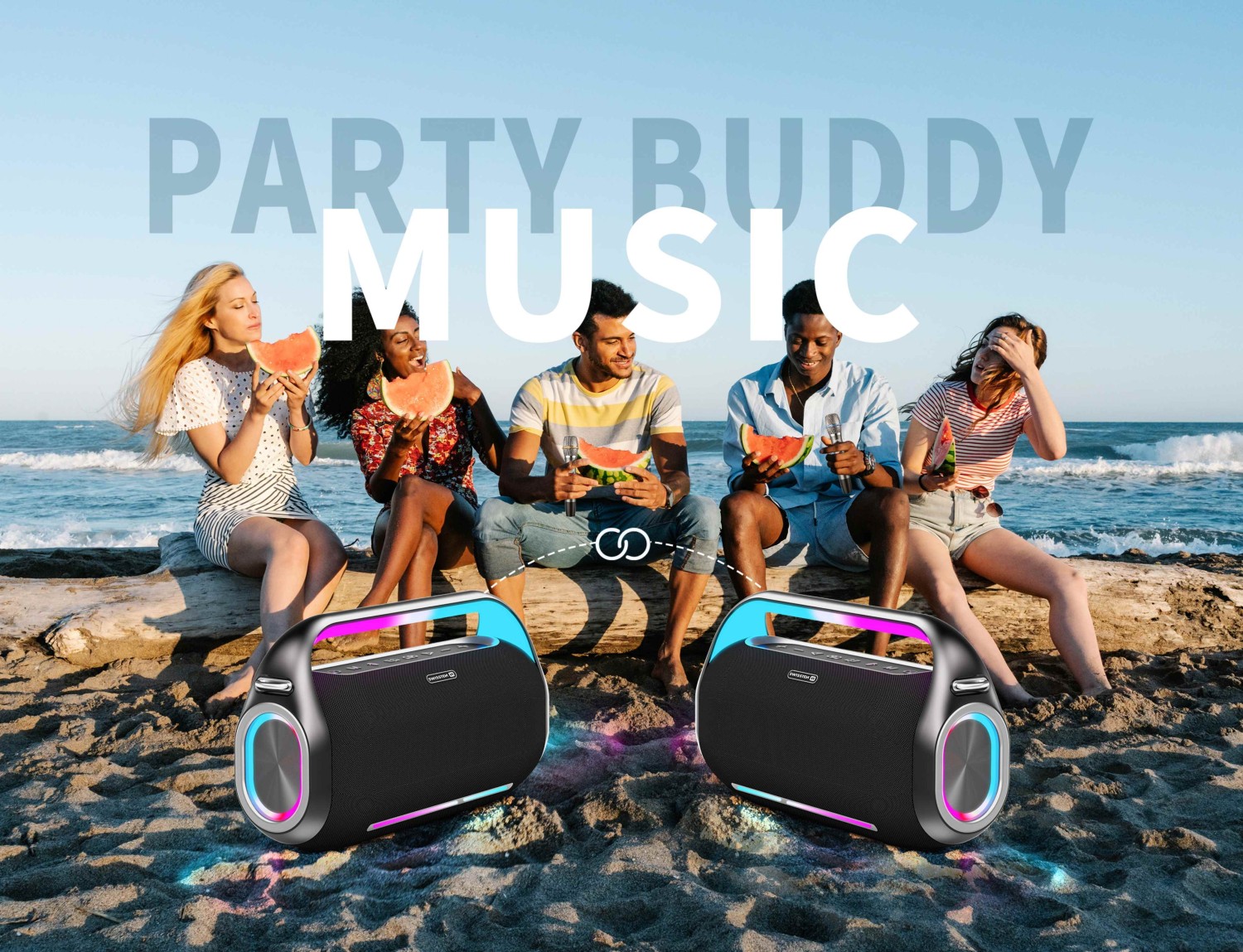 Swissten Harmony 300W