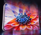 Tvrzené sklo SWISSTEN FULL GLUE, COLOR FRAME, CASE FRIENDLY PRO XIAOMI 17T PRO 5G, černá