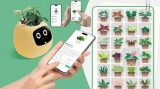 Inteligentní květináč Plantsio IVY gen 2 žlutá