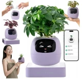 Inteligentní květináč PLANTSIO IVY gen 2 fialová