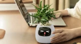 Inteligentní květináč PLANTSIO IVY gen 2 bílá