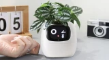 Inteligentní květináč Plantsio IVY bílá