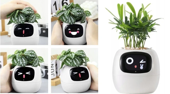 Inteligentní květináč Plantsio IVY bílá