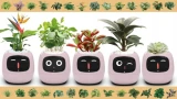 Inteligentní květináč Plantsio IVY fialová