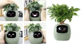 Inteligentní květináč Plantsio IVY zelená