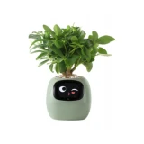 Inteligentní květináč Plantsio IVY zelená