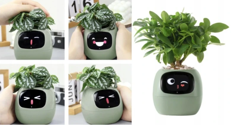 Inteligentní květináč Plantsio IVY zelená