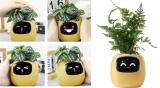 Inteligentní květináč Plantsio IVY žlutá