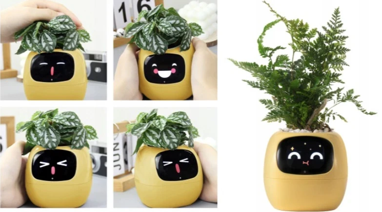 Inteligentní květináč Plantsio IVY žlutá