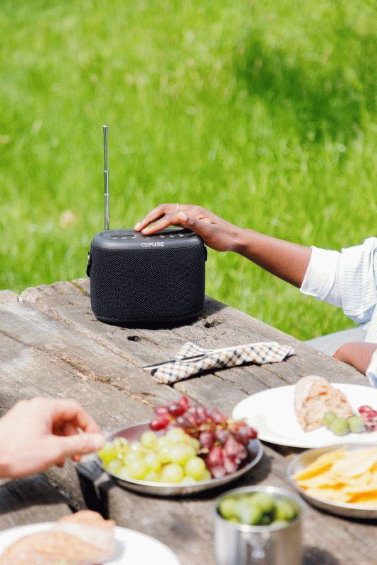 Bluetooth reproduktor Pure Woodland, DAB+, FM, černá