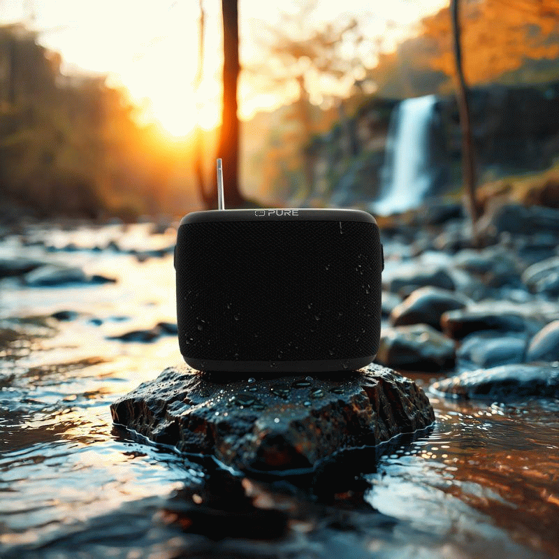 Bluetooth reproduktor Pure Woodland, DAB+, FM, černá
