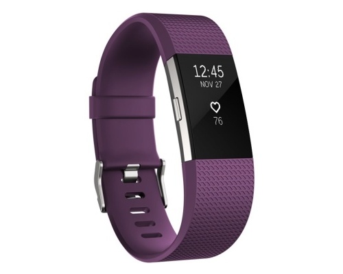 Fitness náramek Fitbit Charge 2 Plum Silver - Small