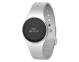 MyKronoz ZeCircle2 Silver/White
